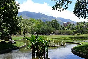 Parque del Este - Caracas