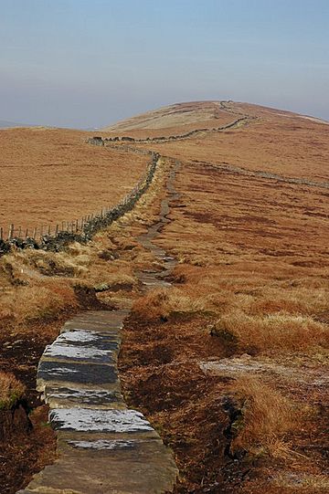 Paved path to Cats Tor - geograph.org.uk - 696105.jpg
