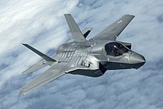 Pictured is the first of the UK's F-35B Lightning II jets to be flown to the UK. MOD 45160016