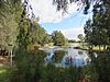 Piney Lakes, Beeliar Regional Park, June 2021 01.jpg
