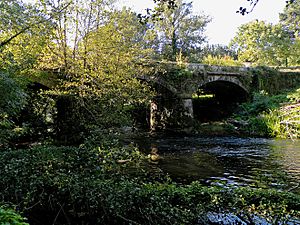 Roman bridge in Gafoi, Frades.