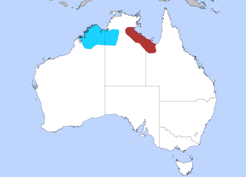 Purple-crowned Fairy-Wren