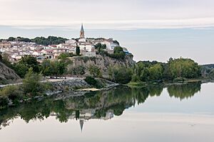 Río Aragón a su paso por Milagro, Navarra, España, 2021-08-31, DD 49