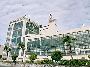 San Miguel Mandaue Brewery, Jan 2024