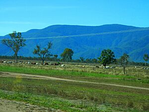 Scenery West of Townsville - panoramio (2)