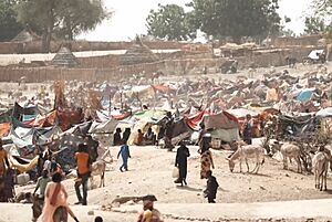 Screengrab of refugee camp from Number of Refugees Who Fled Sudan for Chad Double in Week