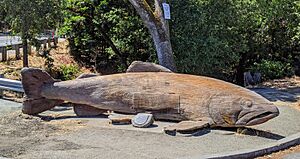 Silver trout carving by Bucks of Woodside