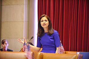 Simotas Debates CFDA in Chamber