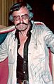 Stan Lee 1975 cropped