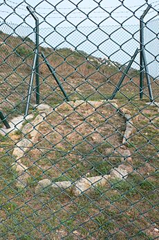 Stone Circle at Fan Lau