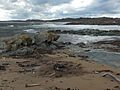 Sundown-Point-coast-20160924-004