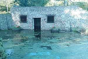 Taffs Well Thermal Spring Flooded