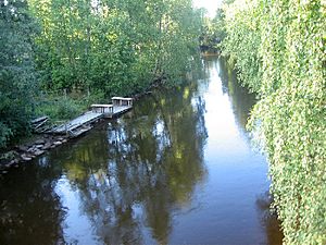 Taipaleenjoki Viinijärvi