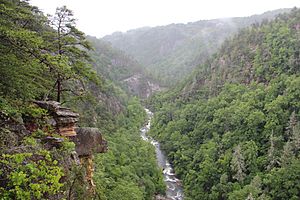 Tallulah Gorge view from an overlook, May 2017 1