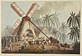 The Mill Yard - Ten Views in the Island of Antigua (1823), plate V - BL