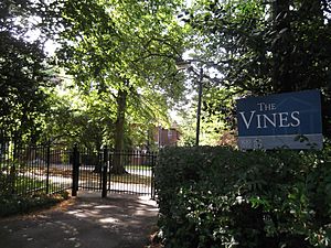 The Vines, Oxford