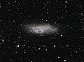 The WLM galaxy on the edge of the Local Group