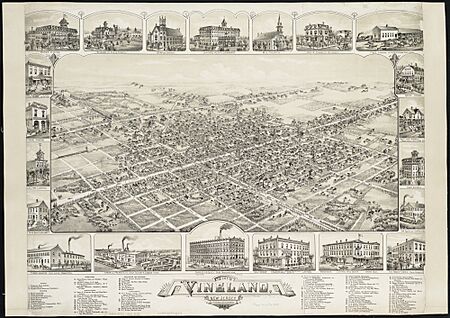The city of Vineland, New Jersey (2674234933)
