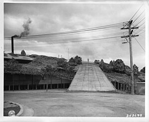 The civilian mess hall and the munitions factory at Rocklea, Brisbane, Queensland, Australia, is camouflaged by a false road and leaves over the roof of the buildings, 17 September 1943