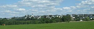Thomm Foto