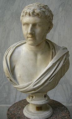 Tolomeo re di numidia e mauretania, busto di restauro, inv. 2253