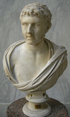 Tolomeo re di numidia e mauretania, busto di restauro, inv. 2253