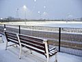 Track-side bench, Kinsley Greyhound Stadium - geograph.org.uk - 1628739