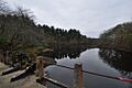 WarehamMA ConantHill HorseshoePondFromDam