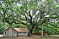 Washington Oaks State Gardens