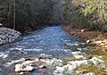 West Branch Fishing Creek looking upstream near Elk Grove
