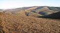 Windlestraw Law seen from Black Law - geograph.org.uk - 1617130
