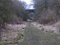 Woodford Halse Nature Reserve 1