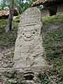 Yaxha stela