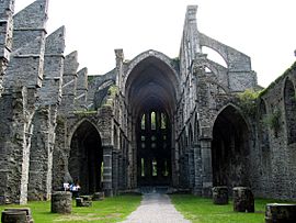 Villers-la-Ville (Belgium), nave, aisle and choir of the abbey church ruins (XIIIth century).