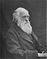 1878 Darwin photo by Leonard from Woodall 1884 - cropped grayed partially cleaned