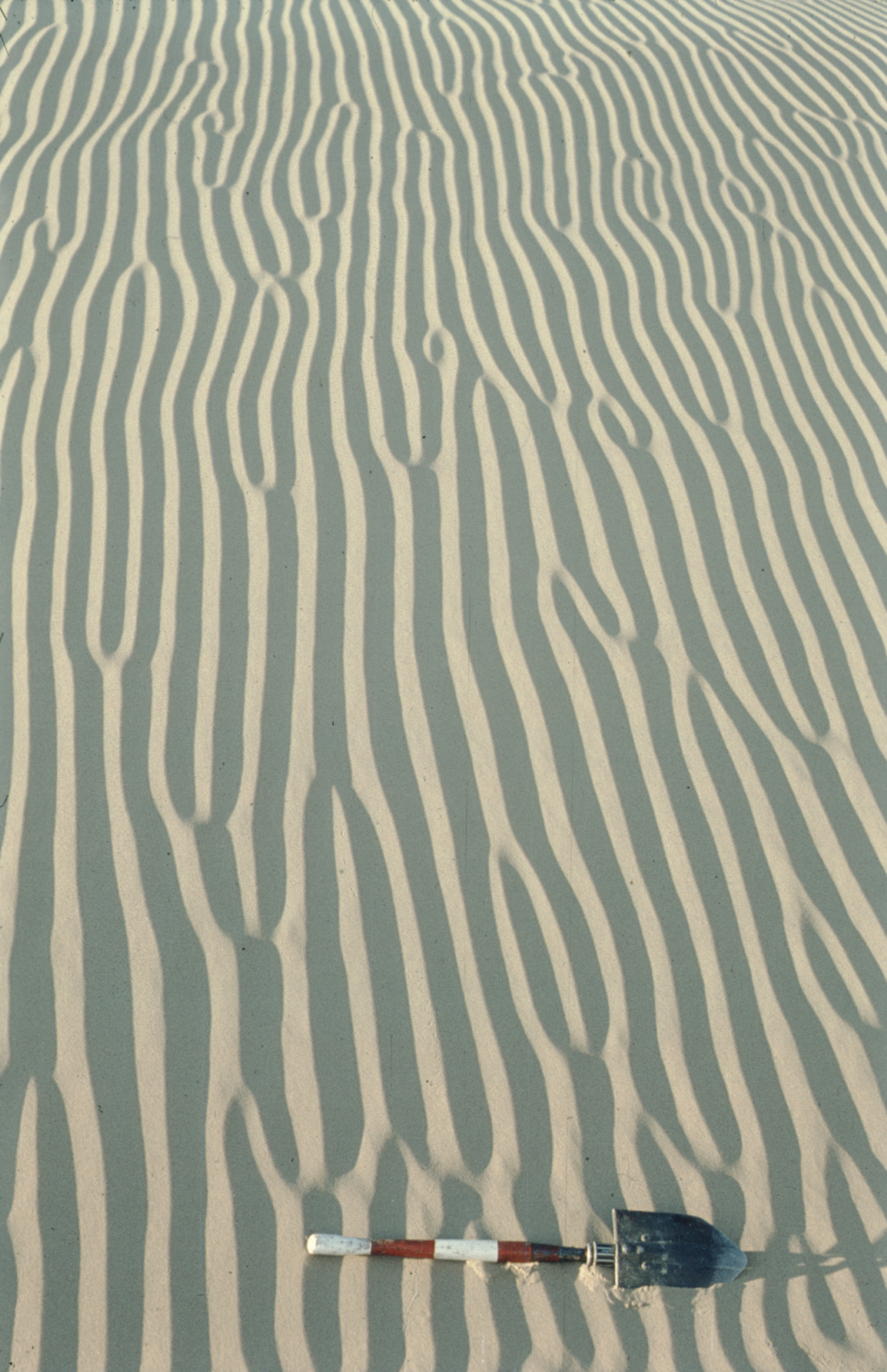 Wind ripples with small breaks in Sistan, Afghanistan.