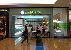 2011-0209-Dubai-MOE-Pinkberry