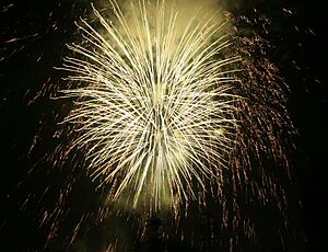 4th July 2006 Pacific Palisades HS Fireworks