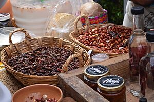 6oGastronomica12