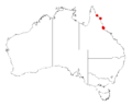 Acacia homalocladaDistMap439