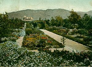 Andrew McNally Residence - Altadena