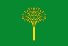 Flag of Llorac