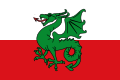 Bandera de Navès