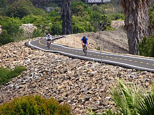 Bicycling on the San Gabriel River Trail, Long Beach, Calif. - panoramio