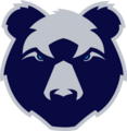 Bristol Bears logo