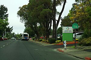 CA 116 Sign - Sebastopol (30687938993)