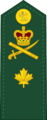 Canadian Forces Unification Rank Insignia OF-6