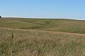 Cather Prairie 3