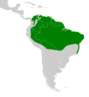 Dendroplex picus map.svg