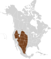 Dipodomys ordii map